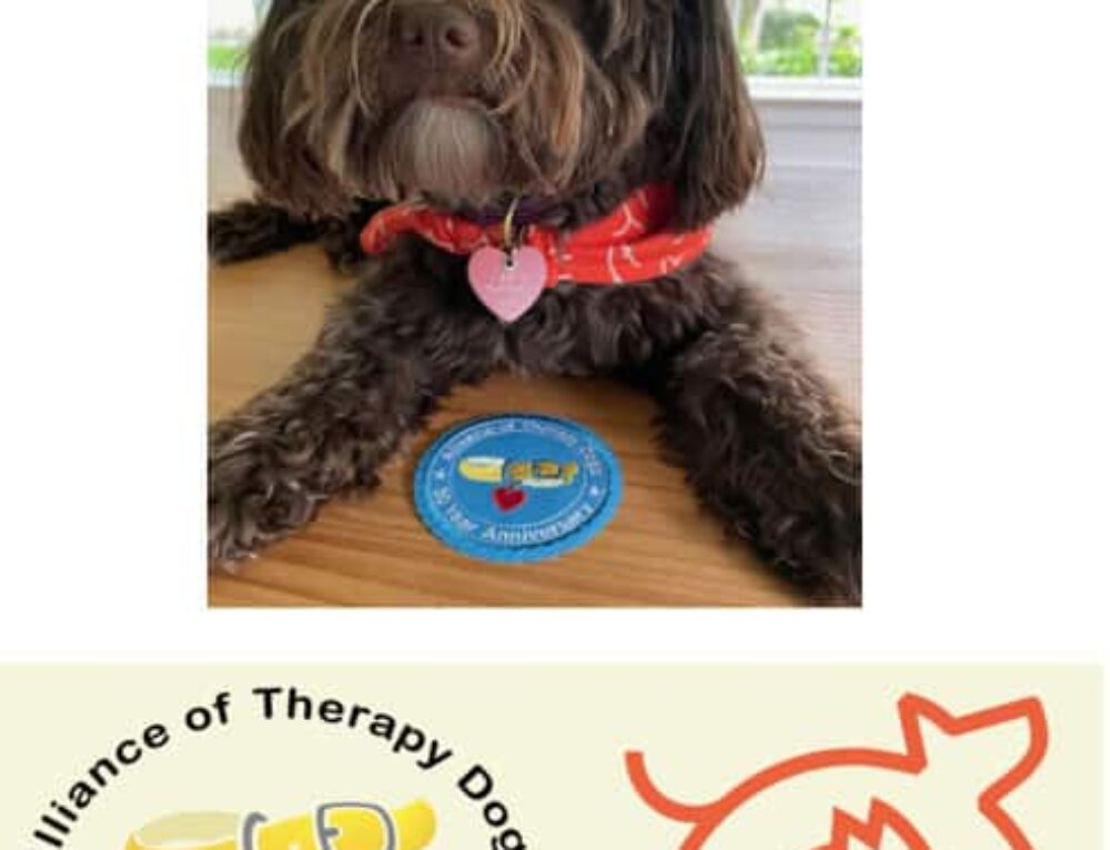 how-to-get-a-therapy-dog-for-depression-esa-care