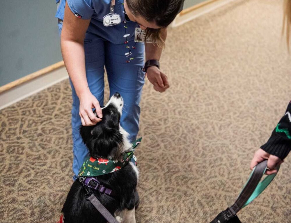 Therapy Dogs at Hospitals - Alliance of Therapy Dogs Inc.