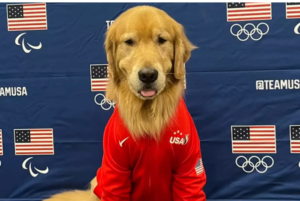 Beacon, the Therapy Dog, poses in front of Team USA banner