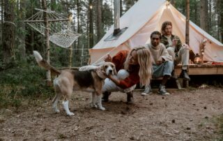 A group of friends camping with a dog - beagle shown with smiling group in front of a campsite.