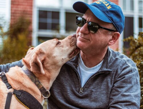 How To Volunteer In Retirement With Your Dog