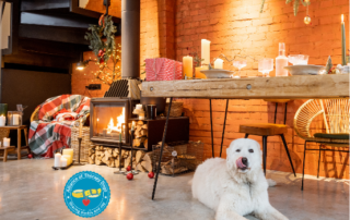 Holiday decorations, candles and big fluffy white dog