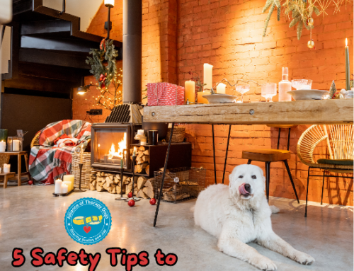 5 Safety Tips To Consider This Holiday Season