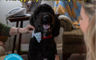 Therapy dog looks happy to be getting attention.