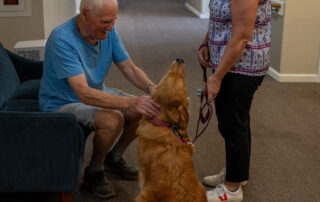 golden retriever and handler volunteer to greet a visitor in chair