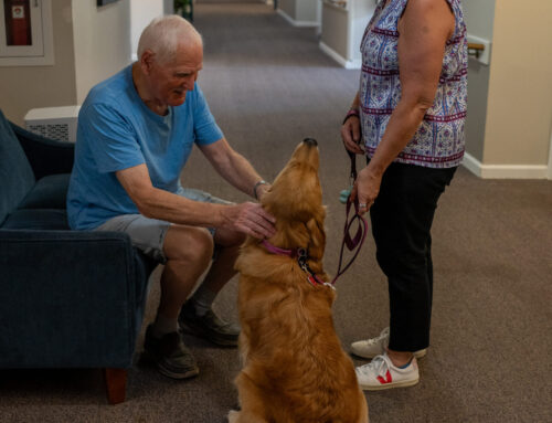 Spreading Smiles and Joy: Why Donating to the Alliance of Therapy Dogs This Holiday Season Makes a Difference