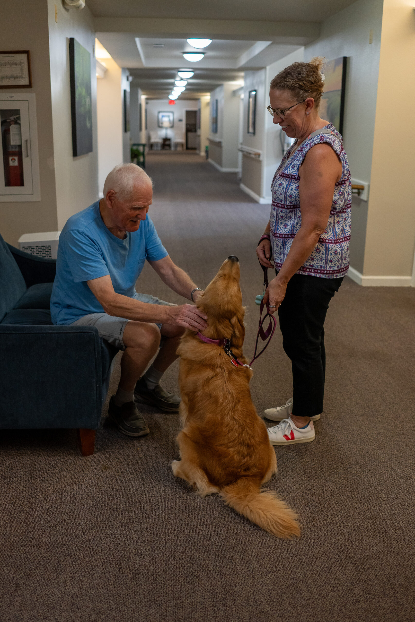 golden retriever and handler volunteer to greet a visitor in chair