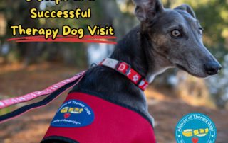 ATD dog on leash with vest and atd logo