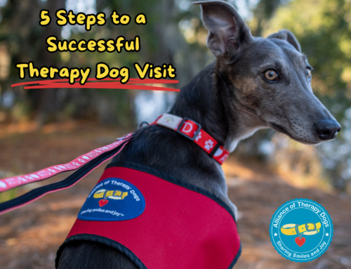 5 Steps to a Successful Therapy Dog Visit