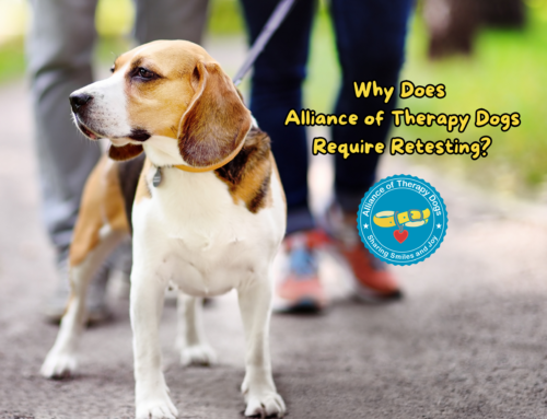 Why Does Alliance of Therapy Dogs Require Retesting?