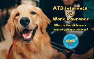 Golden Retriever smiling next to title ATD Insurance vs. work insurance