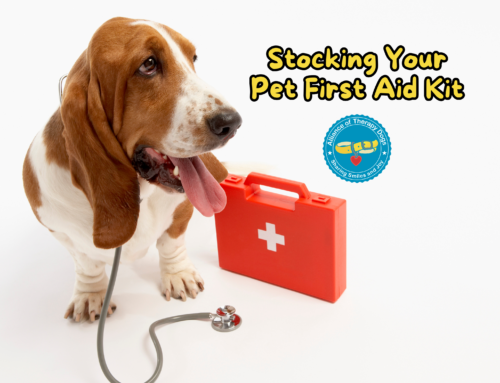 Stocking Your Pet First Aid Kit